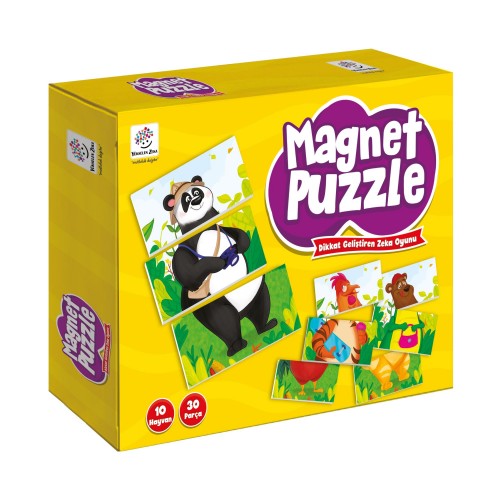 Yükselen Zeka Mıktanıslı Magnet Puzzle