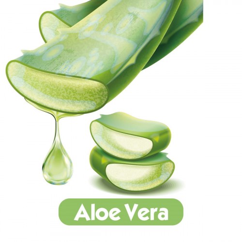 Baby Turco Softcare Aloe Vera Islak Bebek Havlusu 3x90