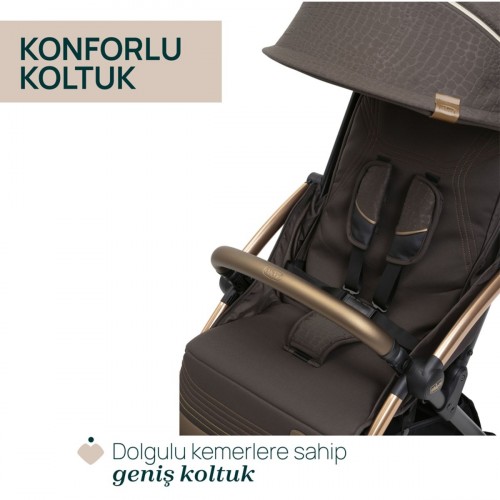 Chicco Goody Xplus Bebek Arabası - Bronze Lızard