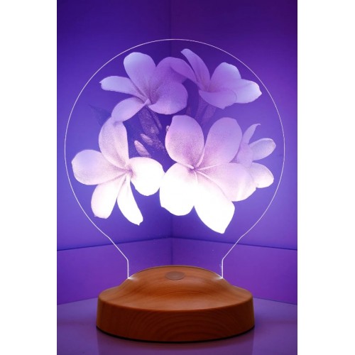 Çiçek Figürlü, Plumeria Çiçeği Hediyesi 3D Led Lamba, Gece Lambası