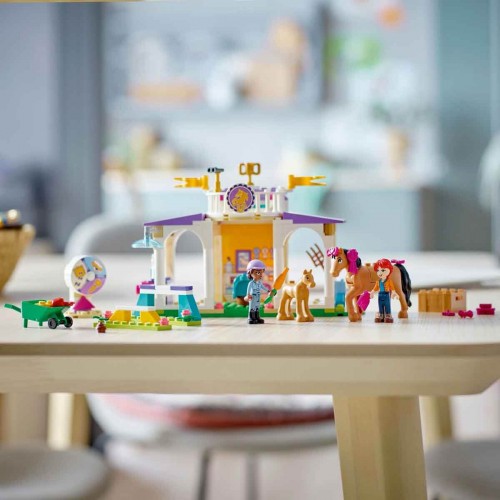 LEGO Friends At Eğitimi 41746