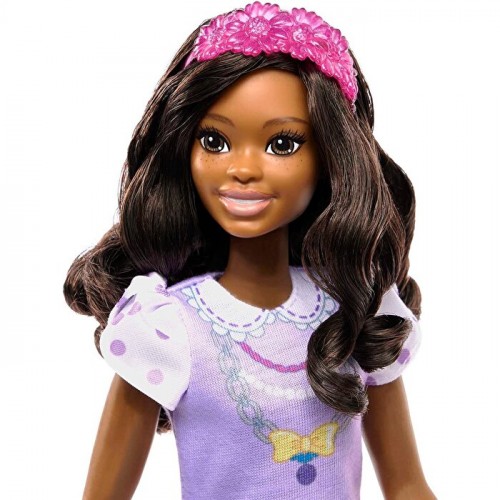 My First Barbie İlk Barbie Bebeğim Serisi Brooklyn HLL18-HLL20