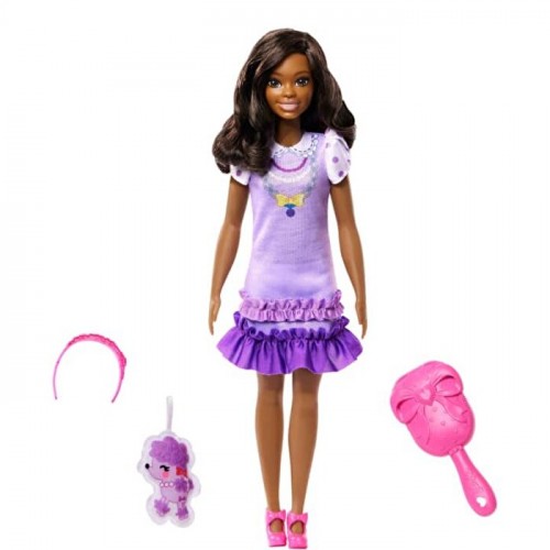 My First Barbie İlk Barbie Bebeğim Serisi Brooklyn HLL18-HLL20