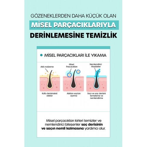 Dr. Banggiwon Yağlı Saçlar Için Sebum Dengeleyici Şampuan 1000 ml